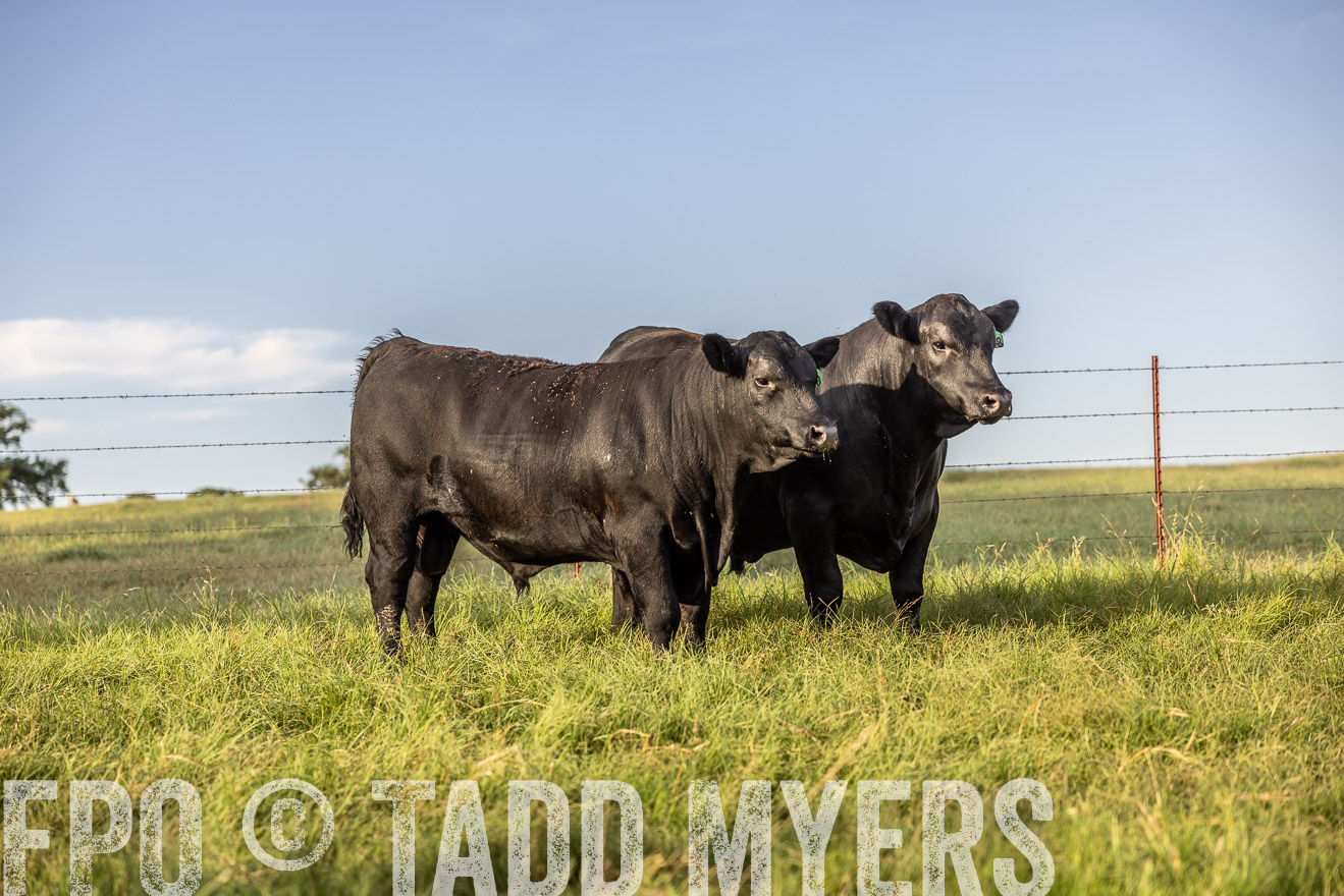 TMyers_Cameron_June2022-520135
