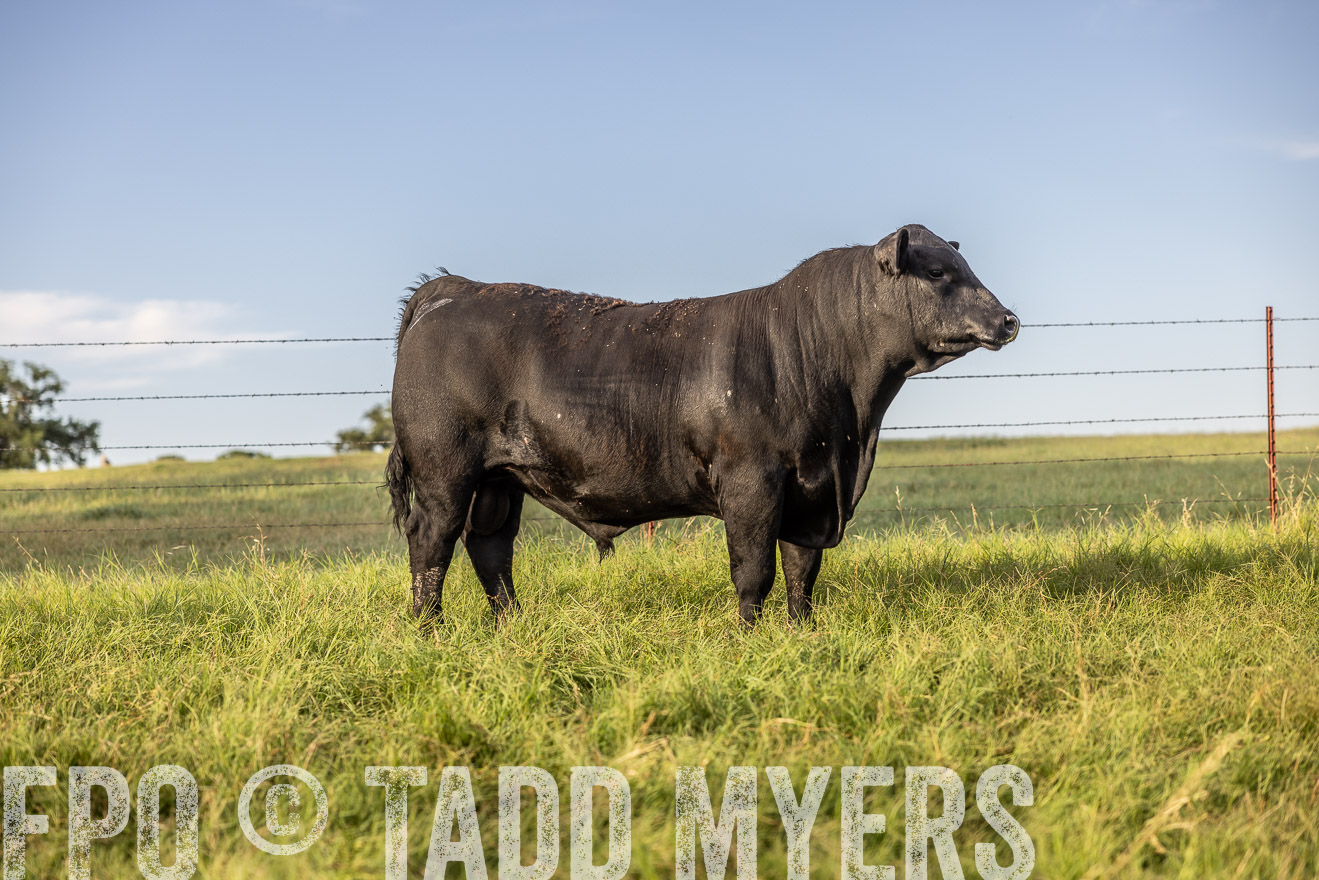 TMyers_Cameron_June2022-520226