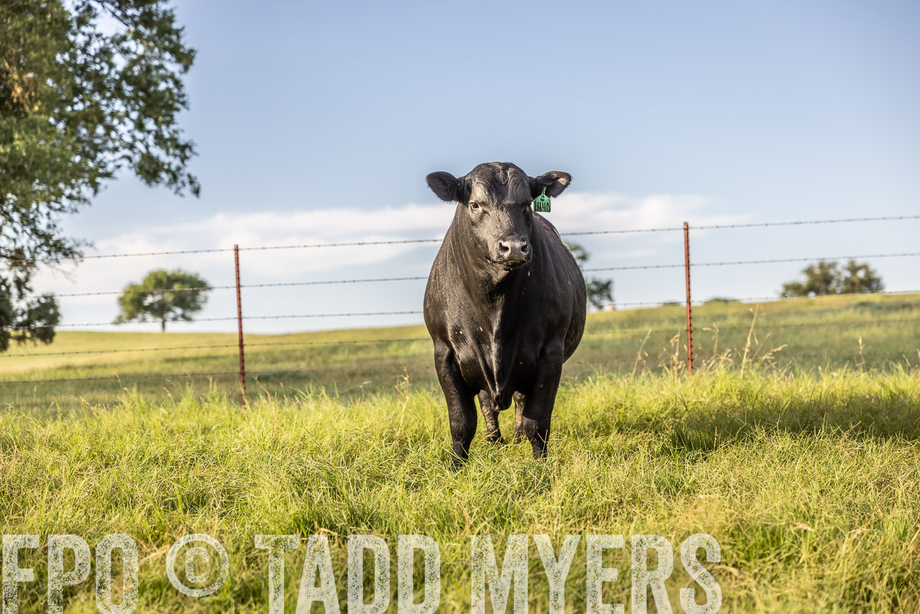 TMyers_Cameron_June2022-520234