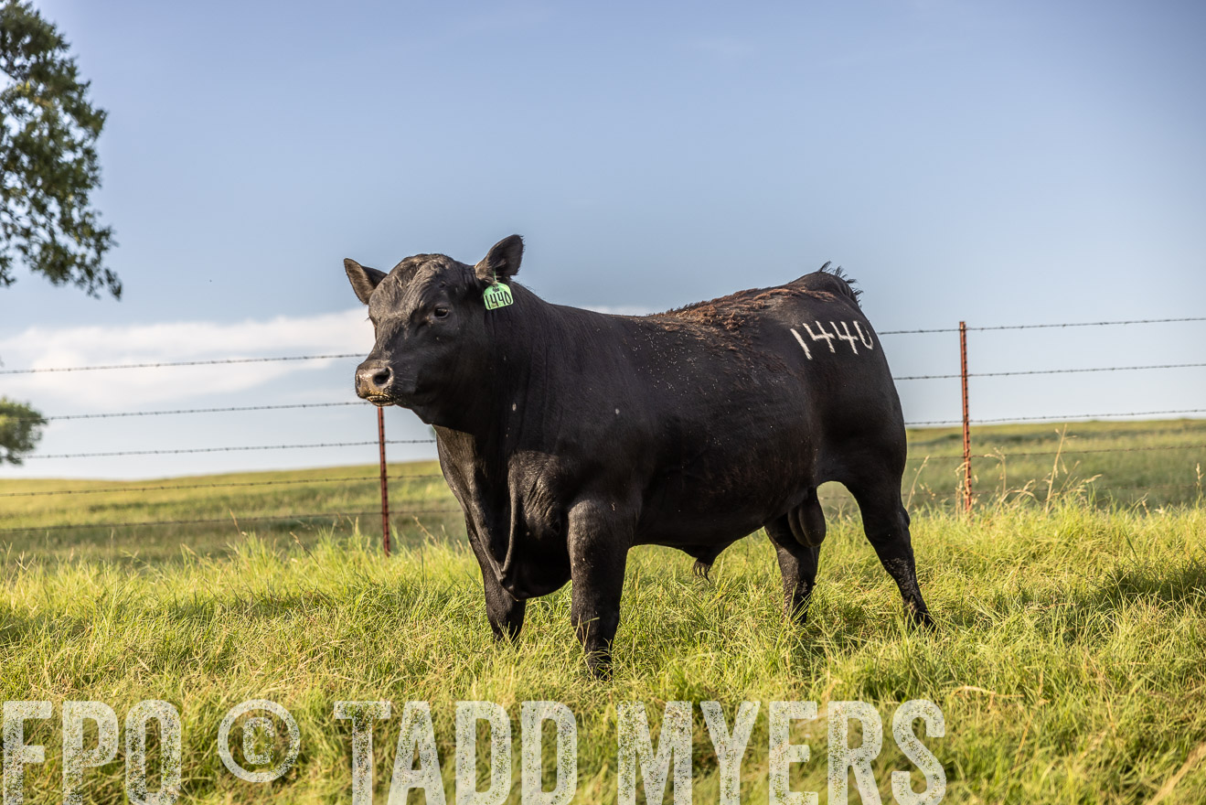 TMyers_Cameron_June2022-520237