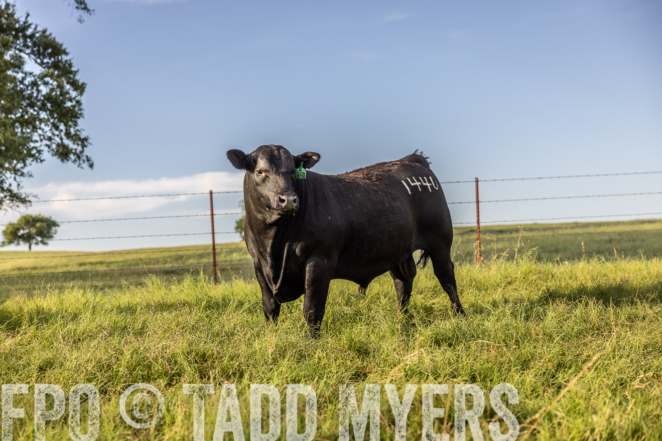 TMyers_Cameron_June2022-520240