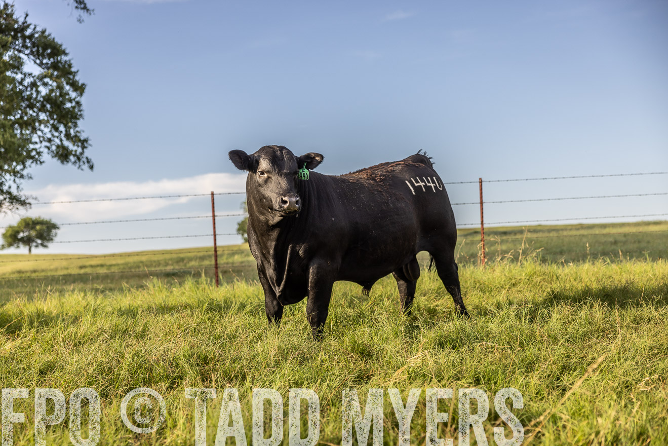 TMyers_Cameron_June2022-520242