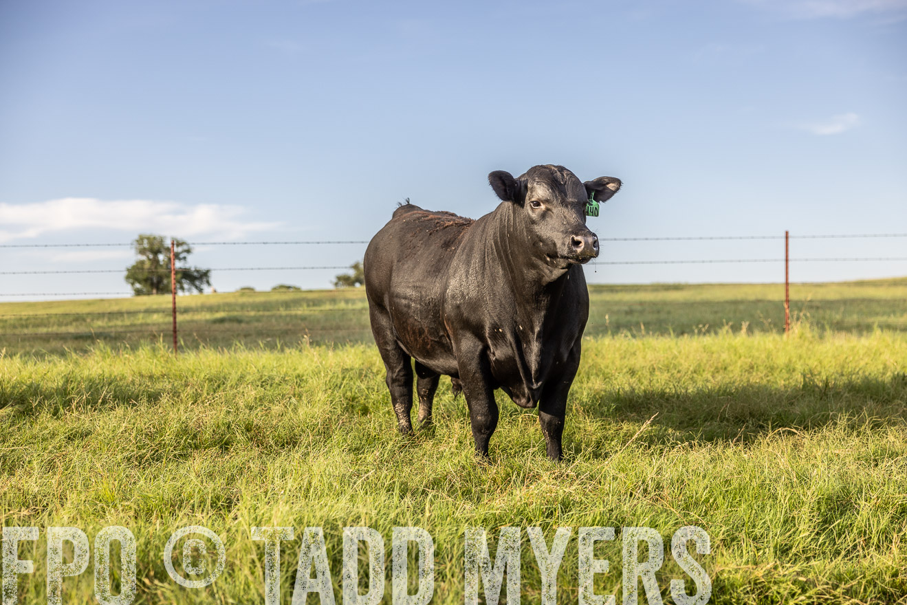 TMyers_Cameron_June2022-520260