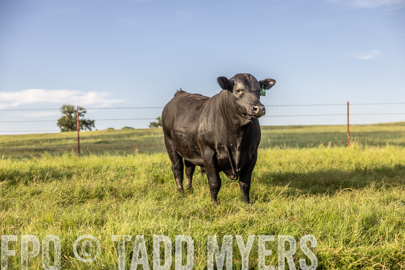 TMyers_Cameron_June2022-520263