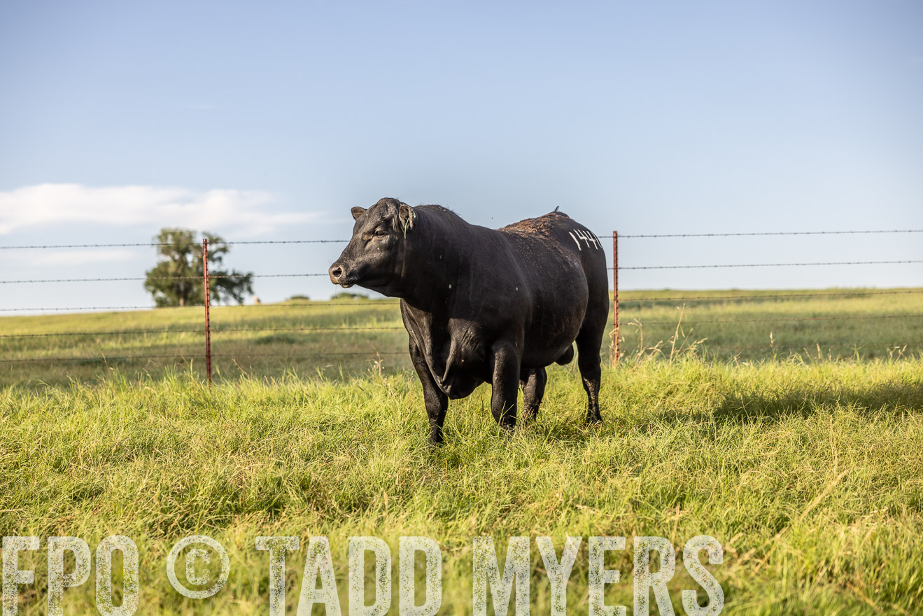 TMyers_Cameron_June2022-520275