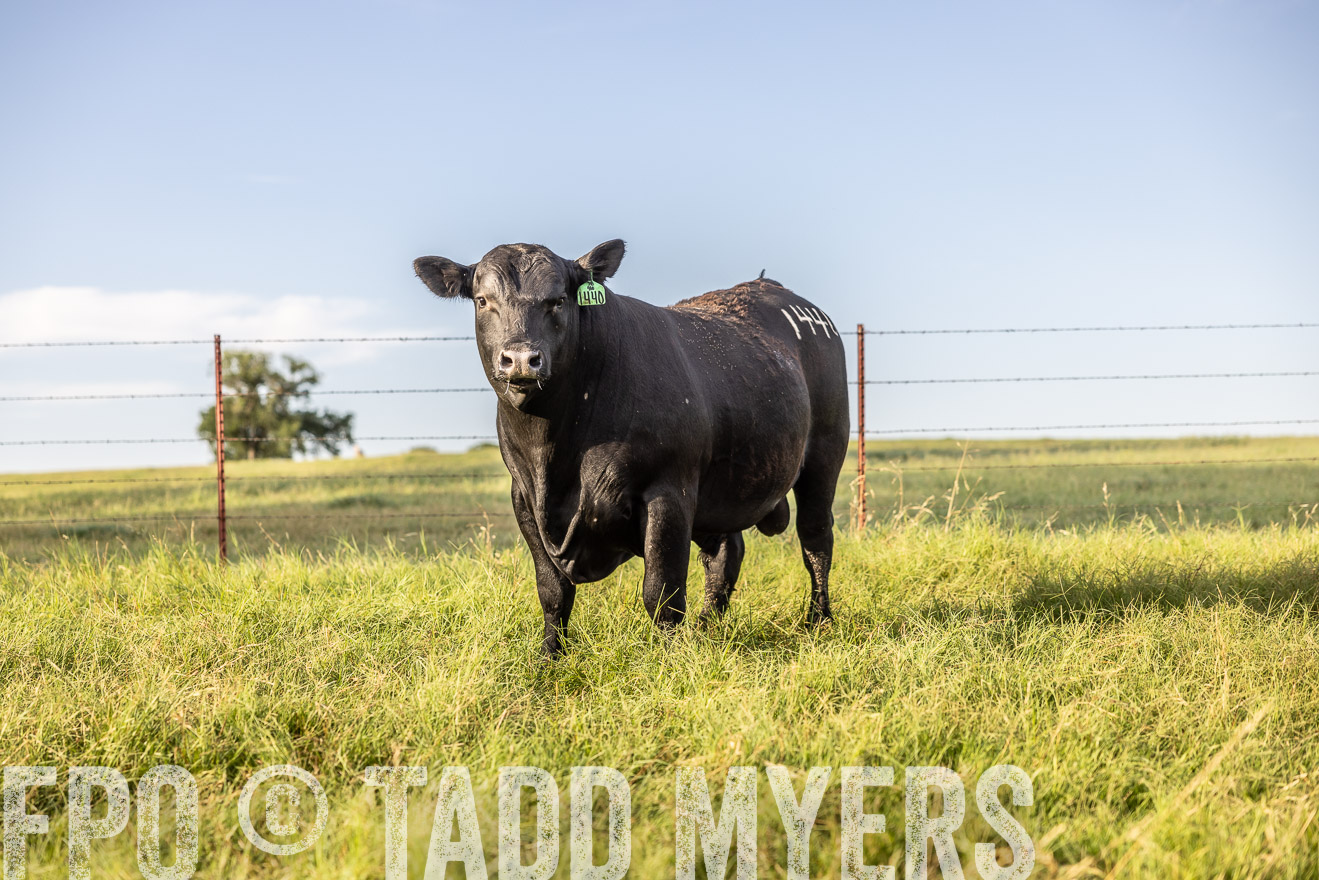 TMyers_Cameron_June2022-520287