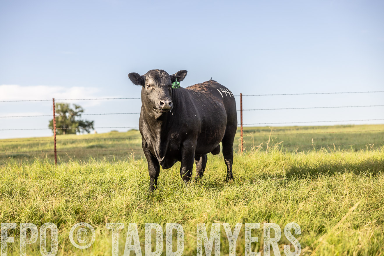 TMyers_Cameron_June2022-520290