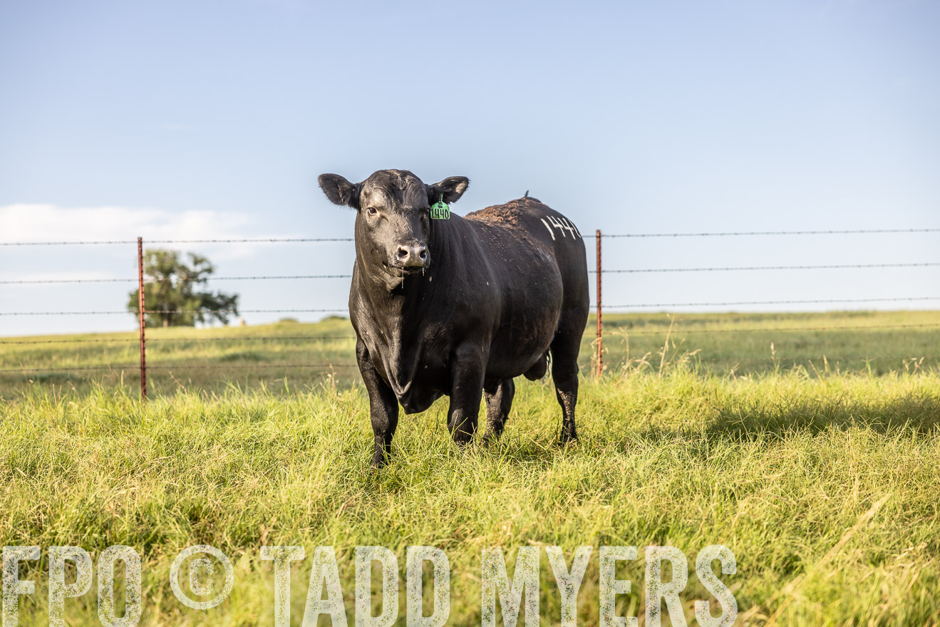 TMyers_Cameron_June2022-520297