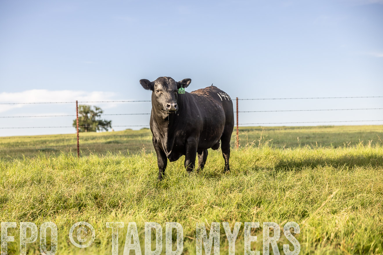 TMyers_Cameron_June2022-520300