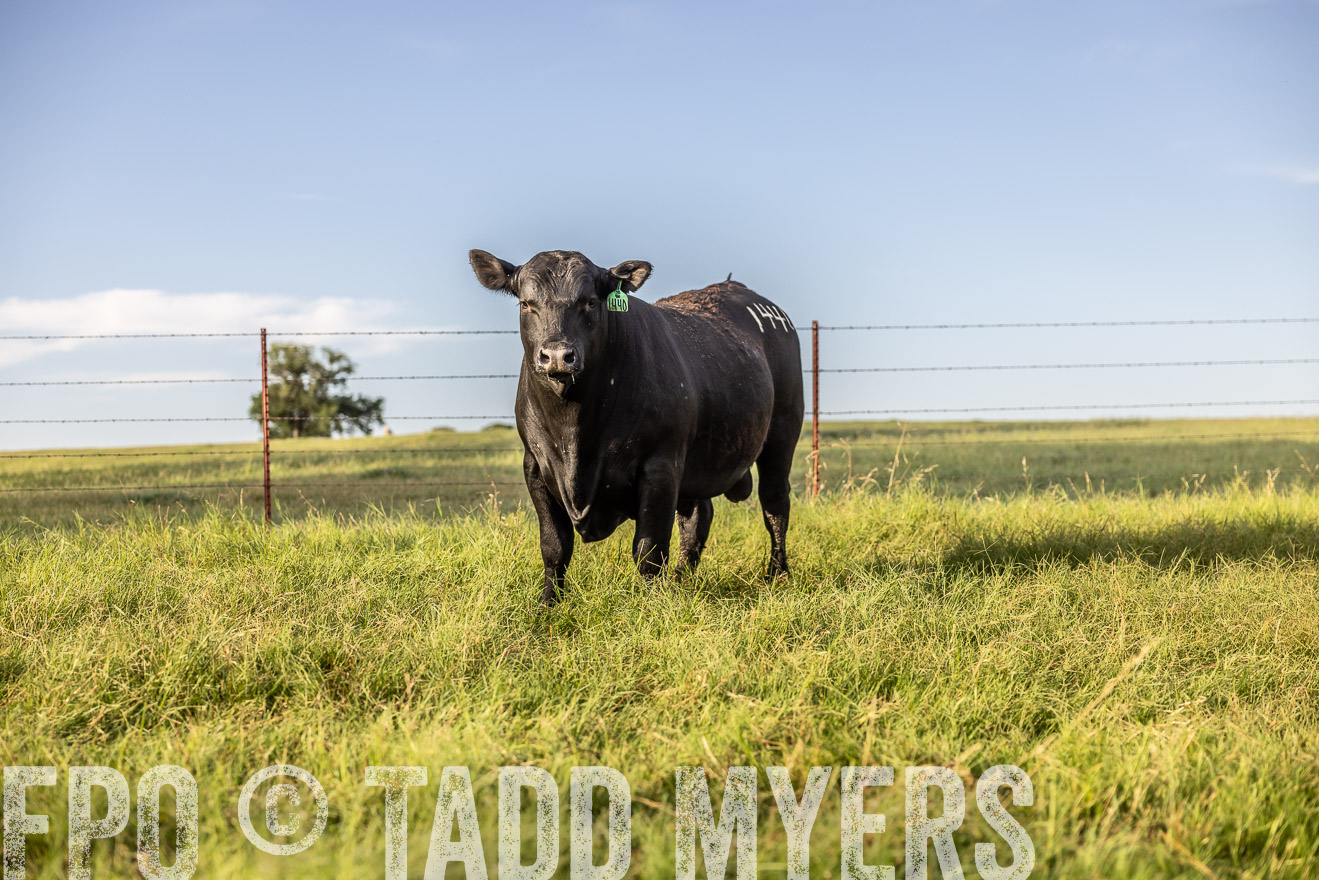 TMyers_Cameron_June2022-520305