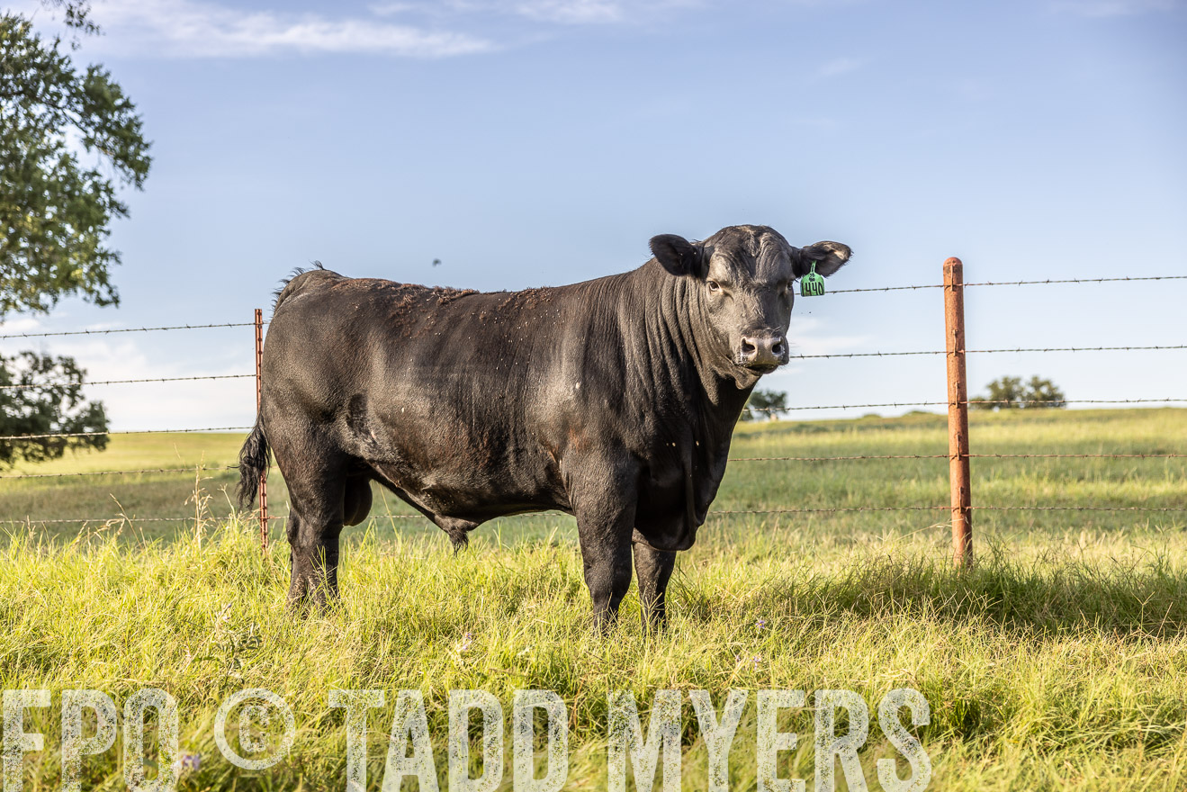 TMyers_Cameron_June2022-520328