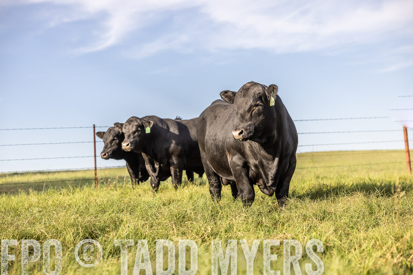 TMyers_Cameron_June2022-520417