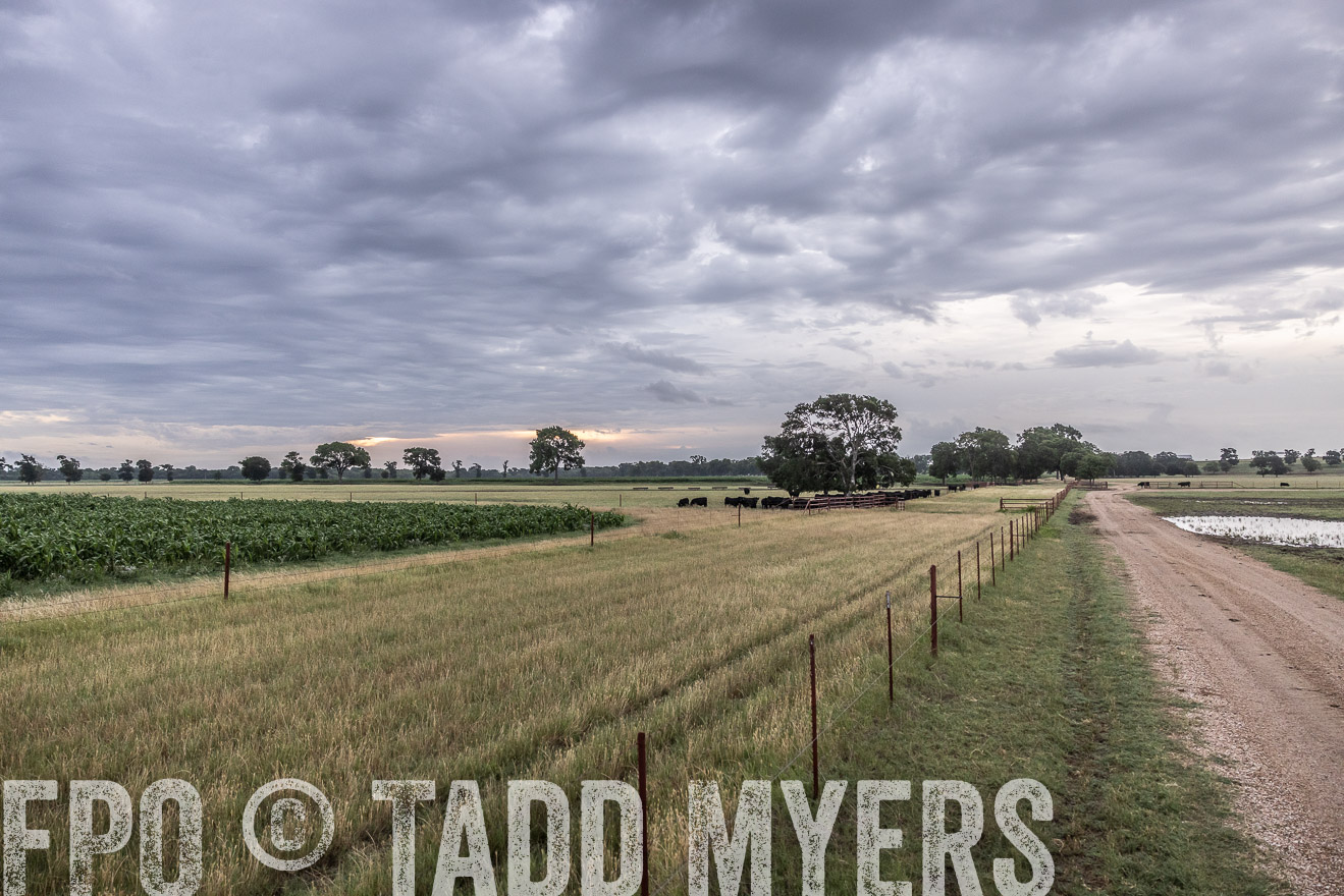 TMyers_Cameron_June2022-526008