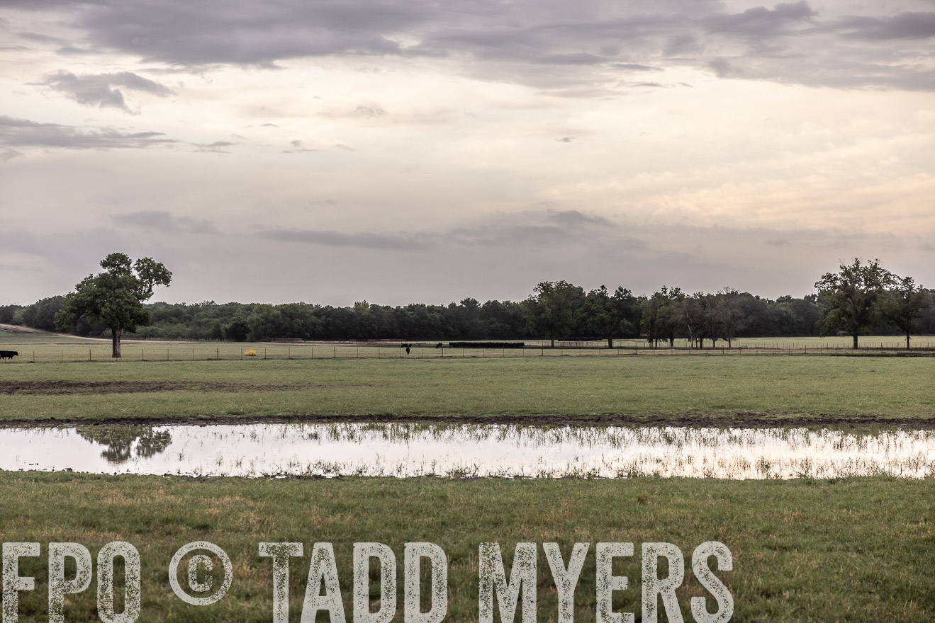TMyers_Cameron_June2022-526015