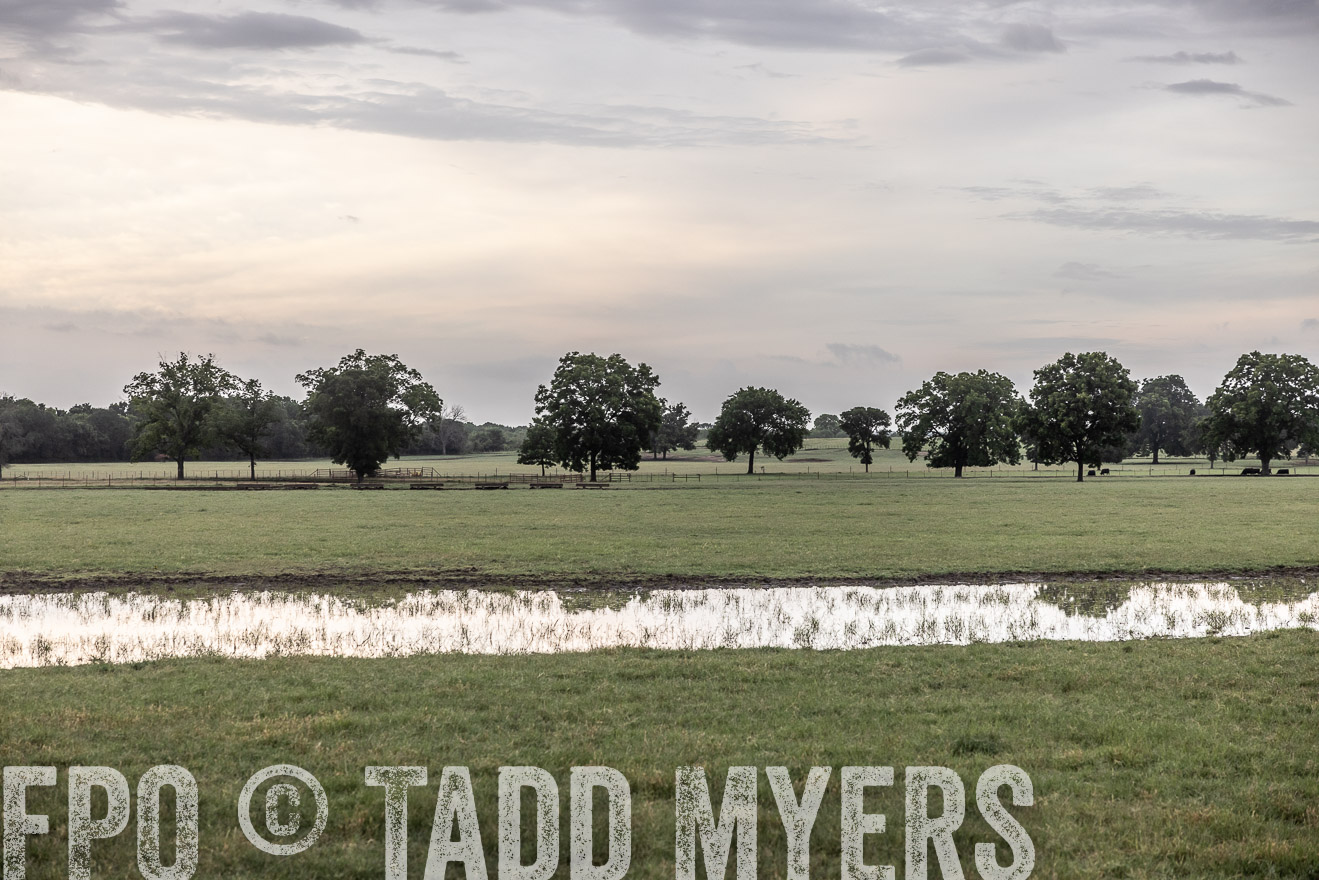 TMyers_Cameron_June2022-526017