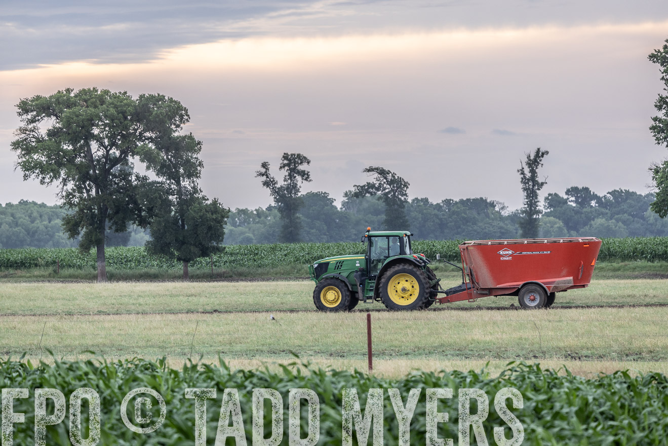 TMyers_Cameron_June2022-526024