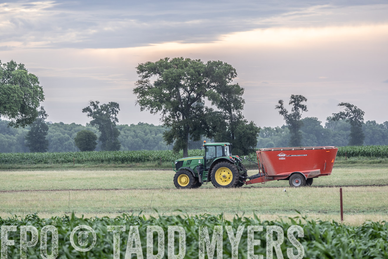 TMyers_Cameron_June2022-526027