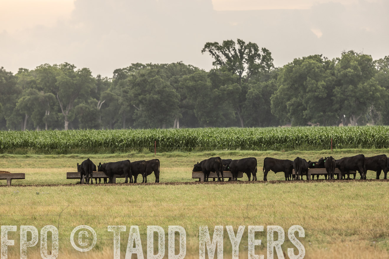 TMyers_Cameron_June2022-526060