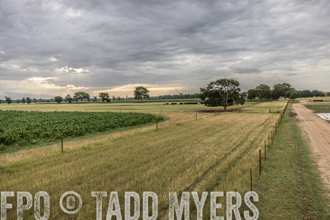 TMyers_Cameron_June2022-526074