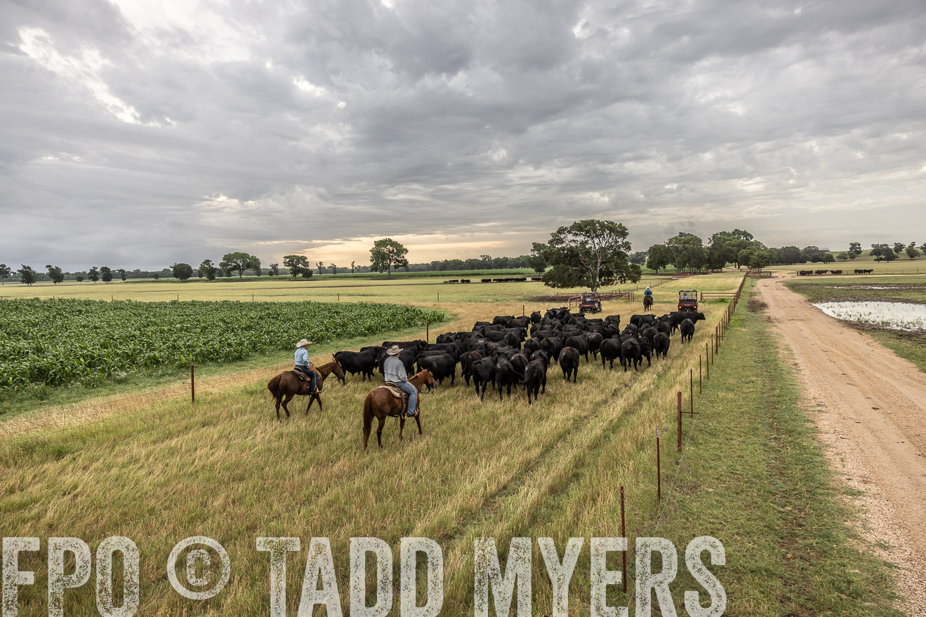 TMyers_Cameron_June2022-526113