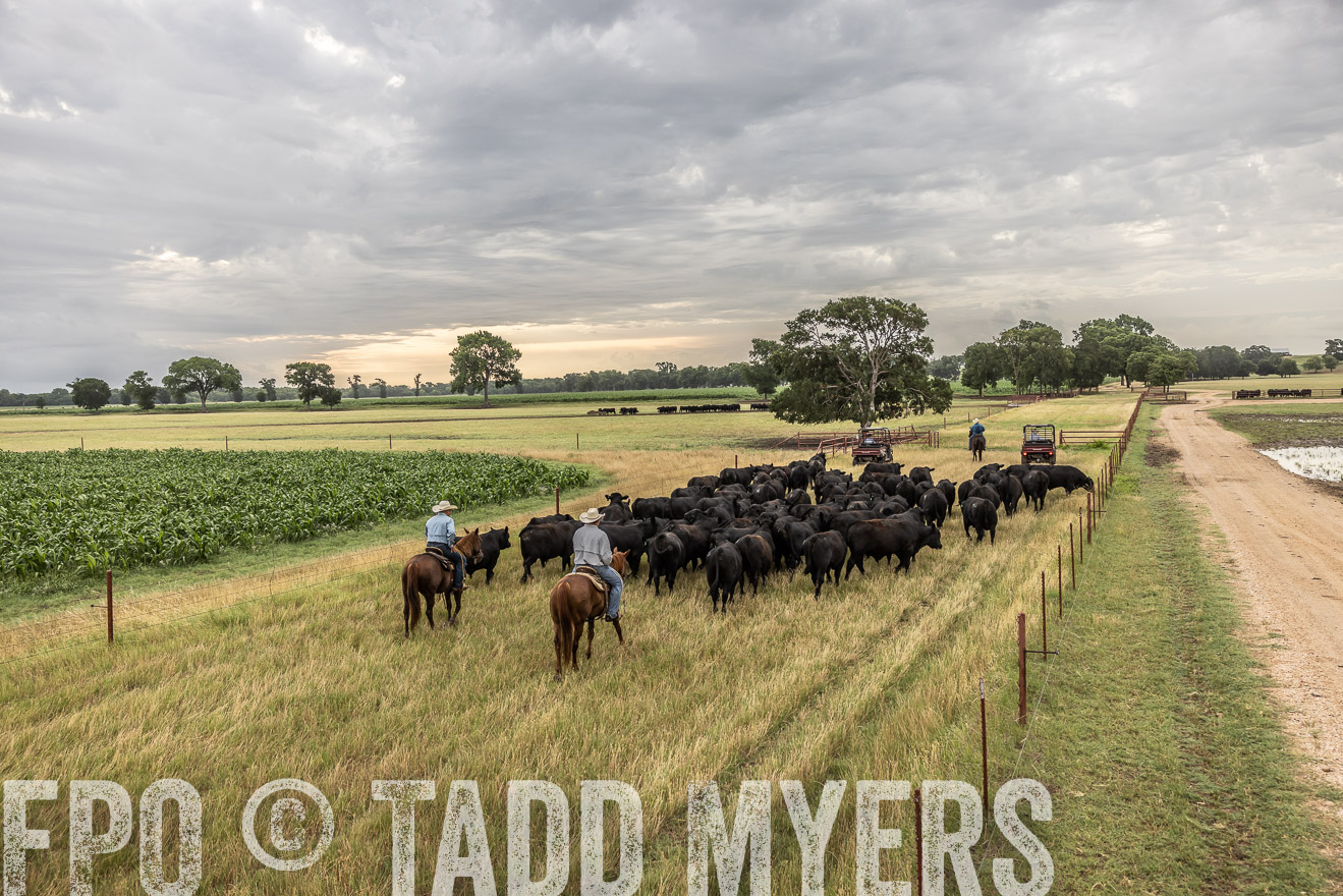 TMyers_Cameron_June2022-526121