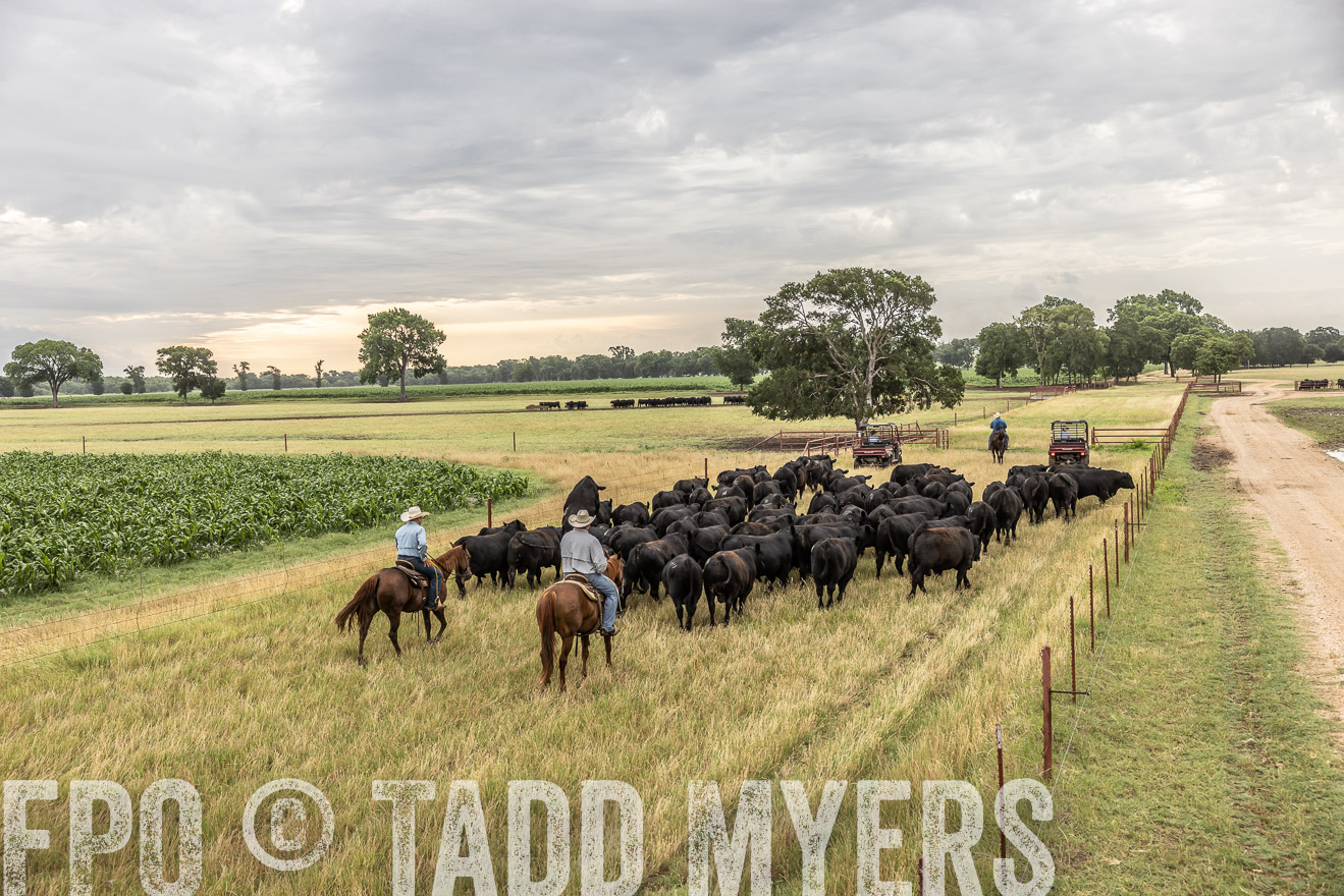 TMyers_Cameron_June2022-526126