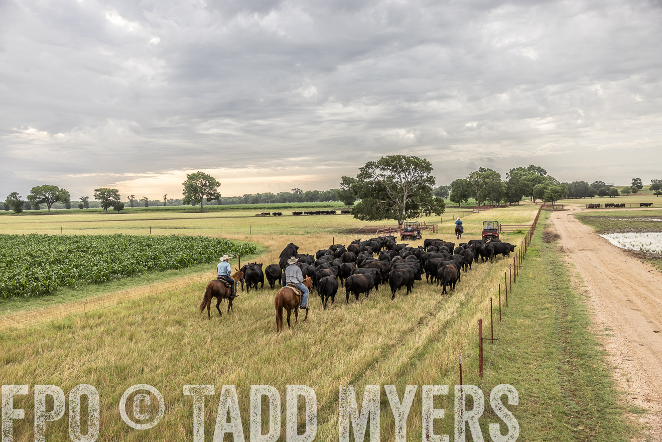 TMyers_Cameron_June2022-526129
