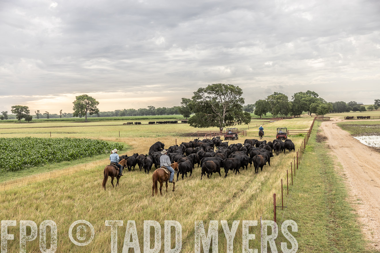 TMyers_Cameron_June2022-526133