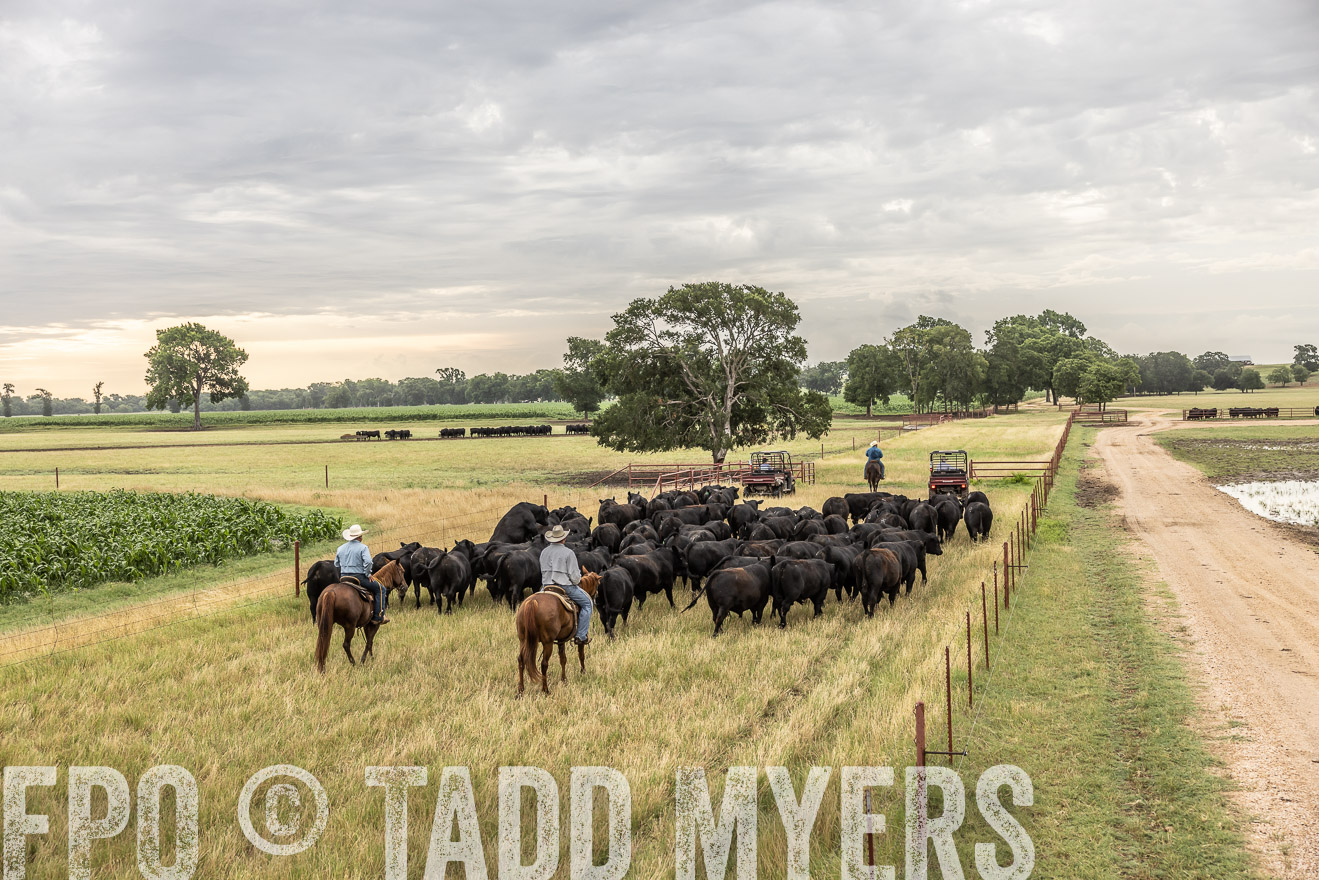 TMyers_Cameron_June2022-526136