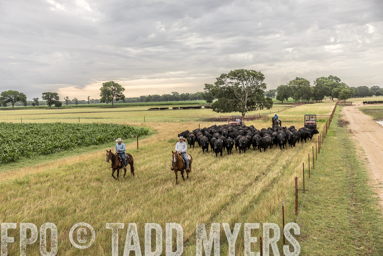 TMyers_Cameron_June2022-526161