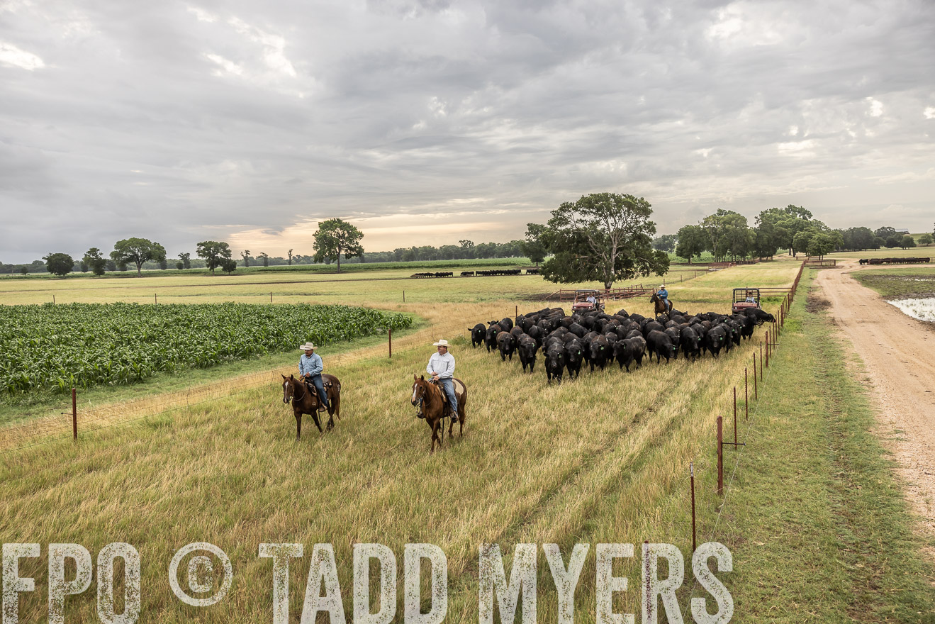 TMyers_Cameron_June2022-526163