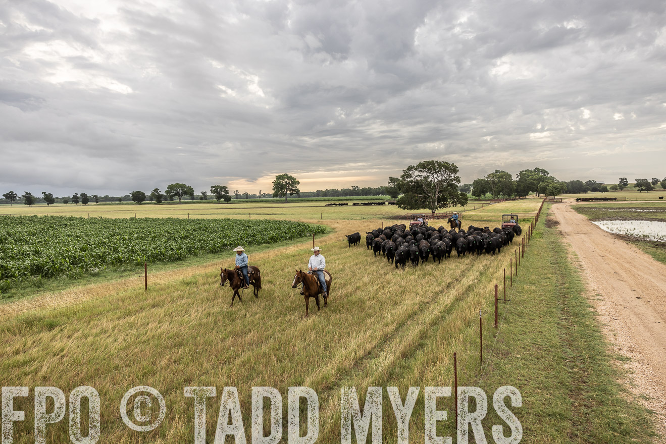 TMyers_Cameron_June2022-526165