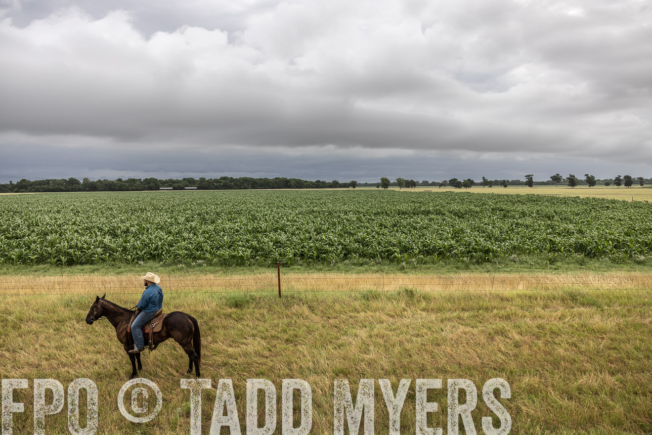TMyers_Cameron_June2022-526205