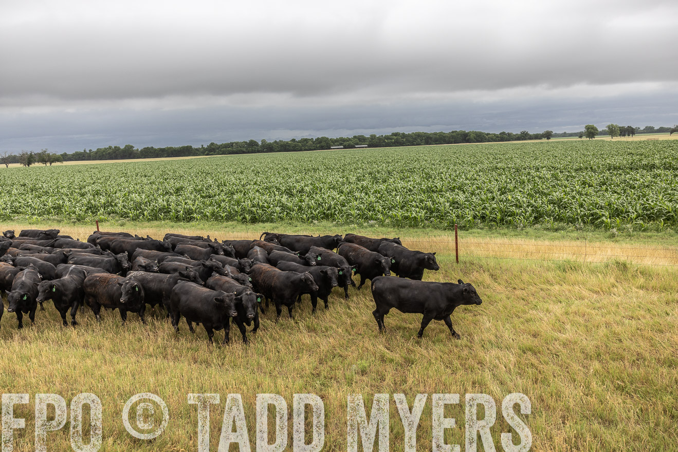 TMyers_Cameron_June2022-526207