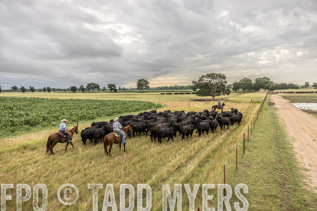 TMyers_Cameron_June2022-526240