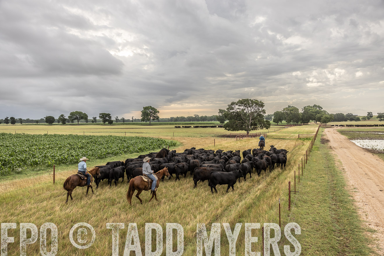 TMyers_Cameron_June2022-526245