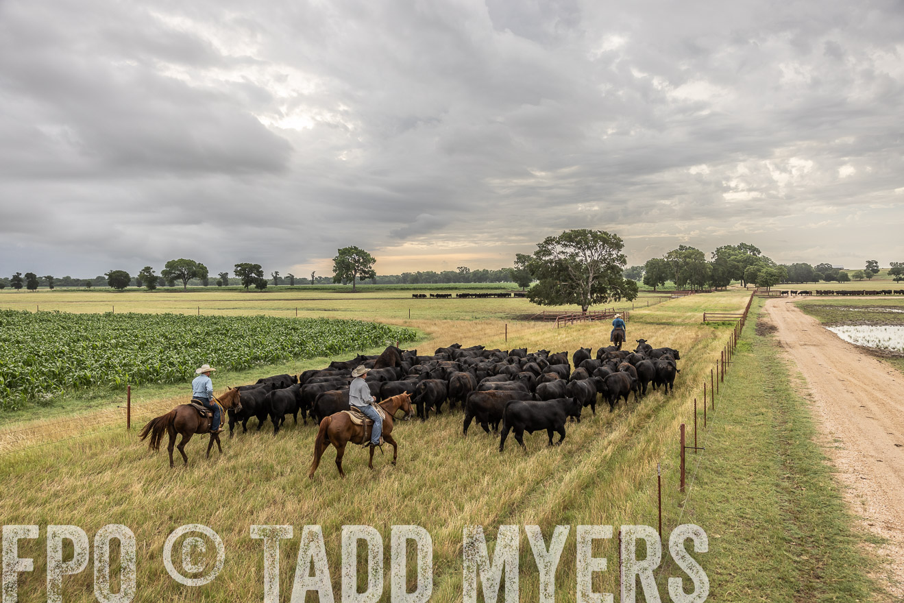 TMyers_Cameron_June2022-526246