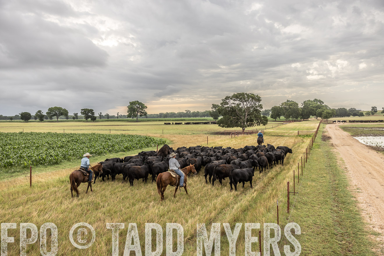 TMyers_Cameron_June2022-526249