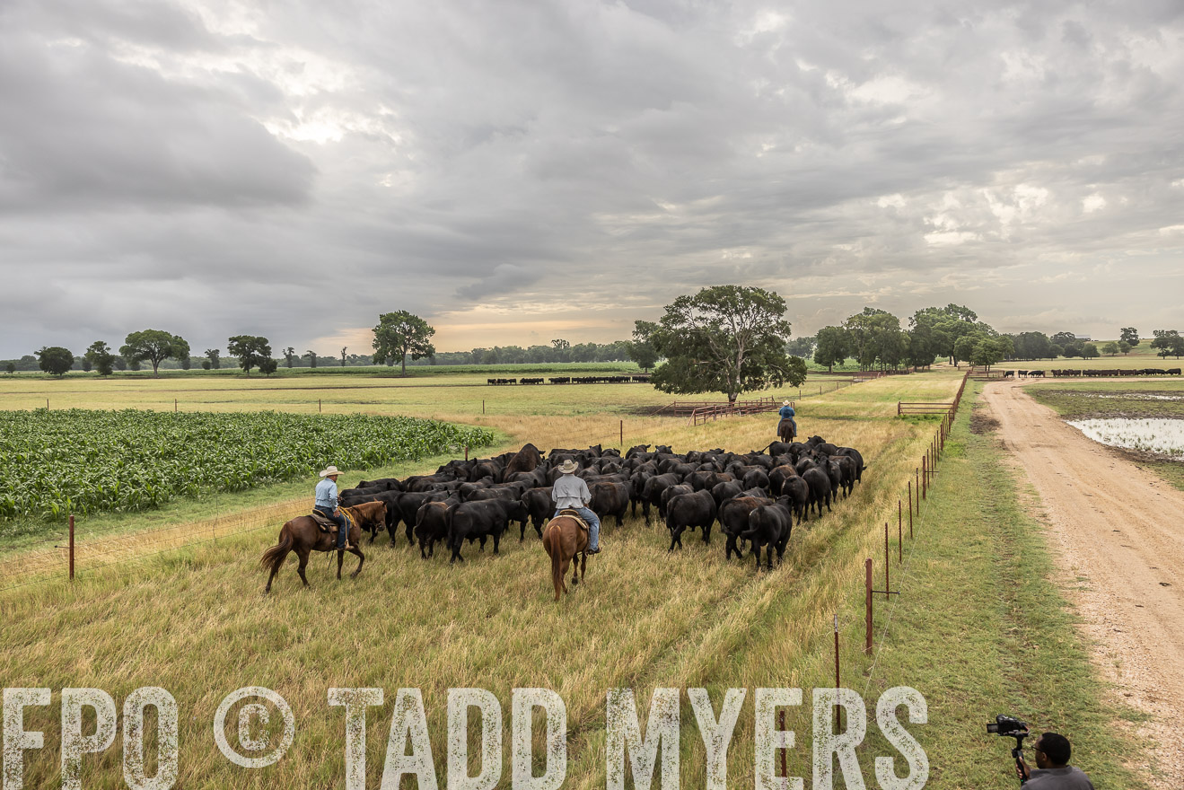 TMyers_Cameron_June2022-526253