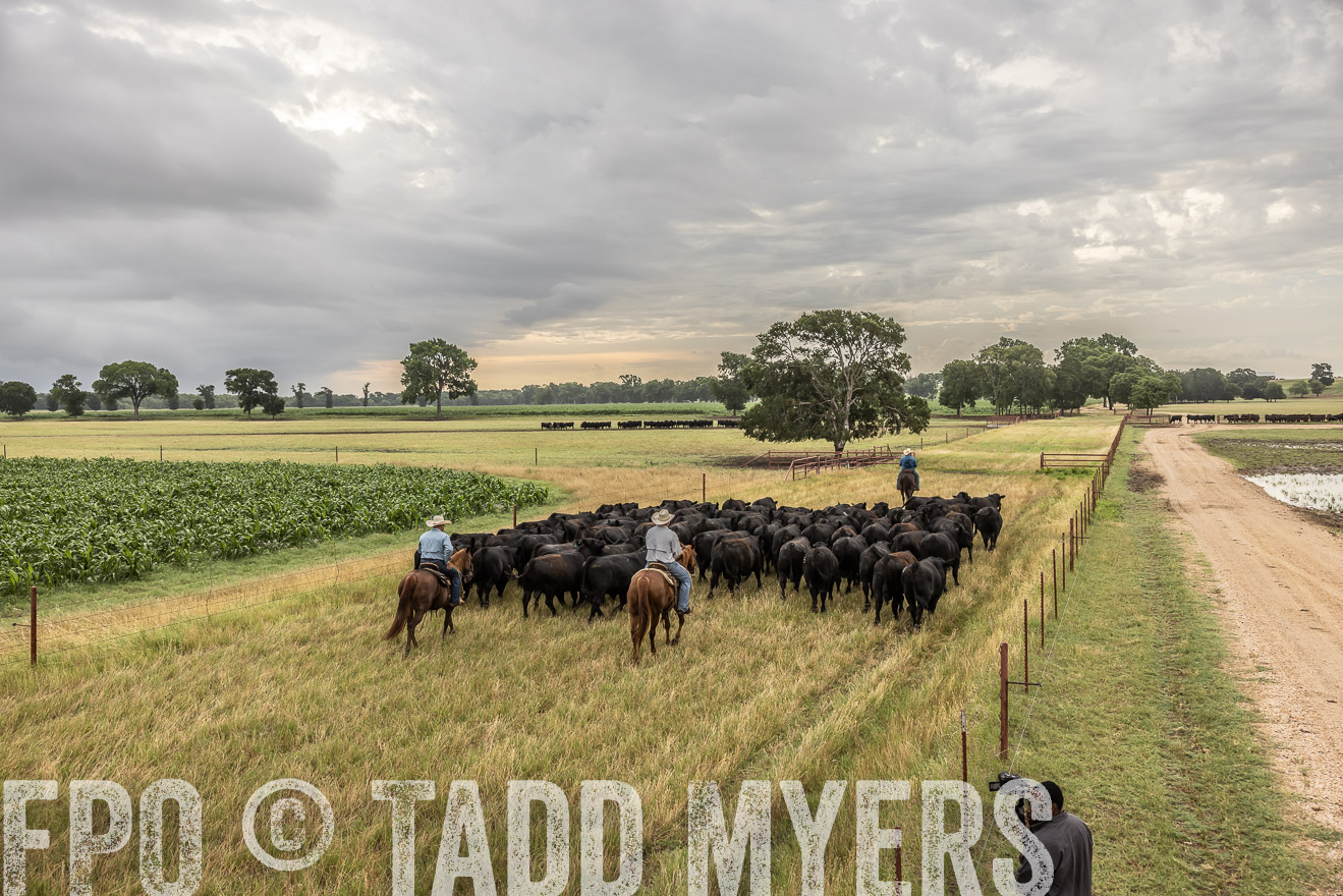 TMyers_Cameron_June2022-526257