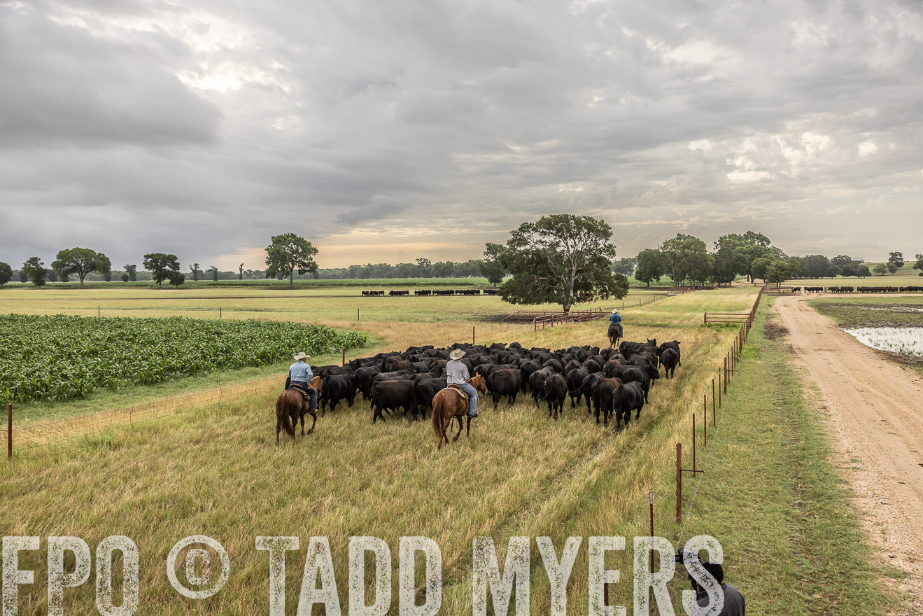 TMyers_Cameron_June2022-526258