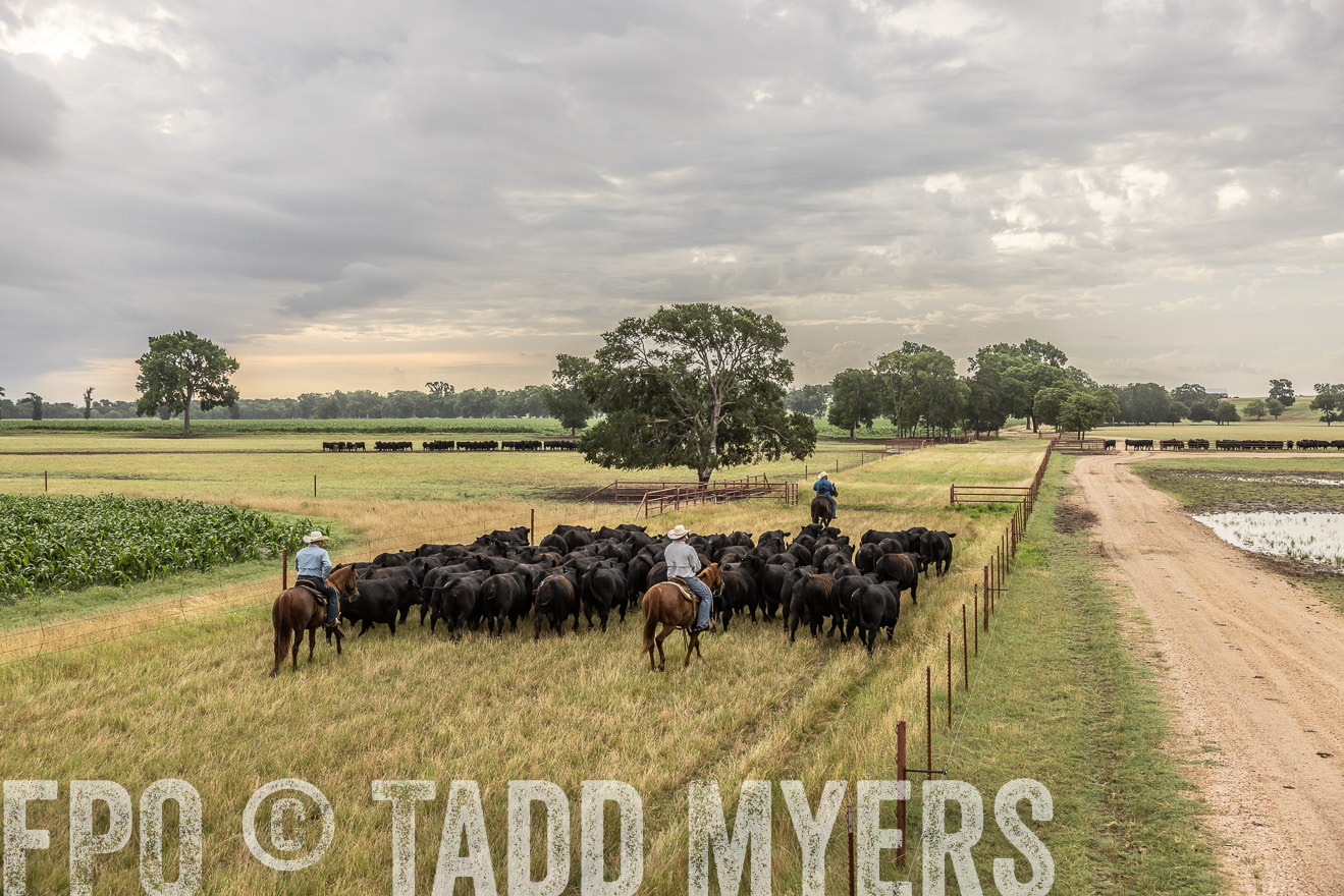 TMyers_Cameron_June2022-526263
