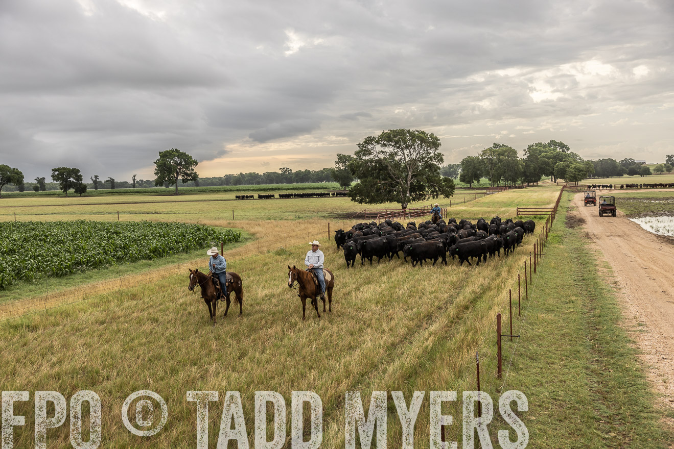 TMyers_Cameron_June2022-526291