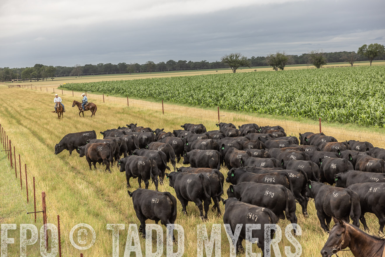 TMyers_Cameron_June2022-526317