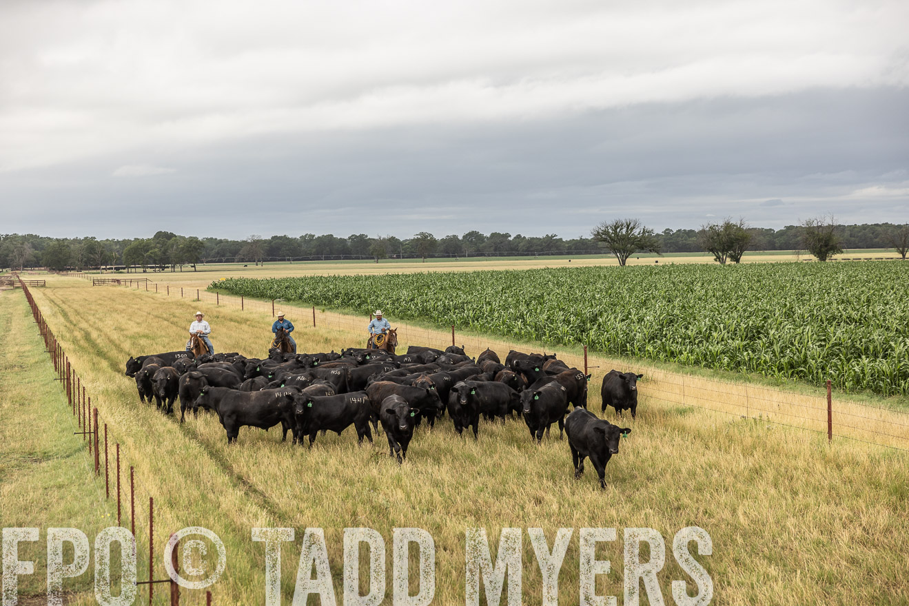 TMyers_Cameron_June2022-526340