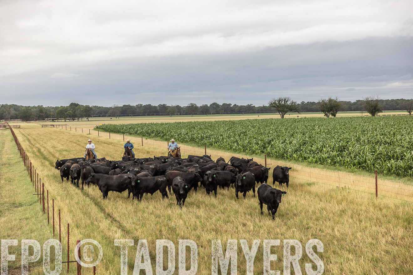 TMyers_Cameron_June2022-526341