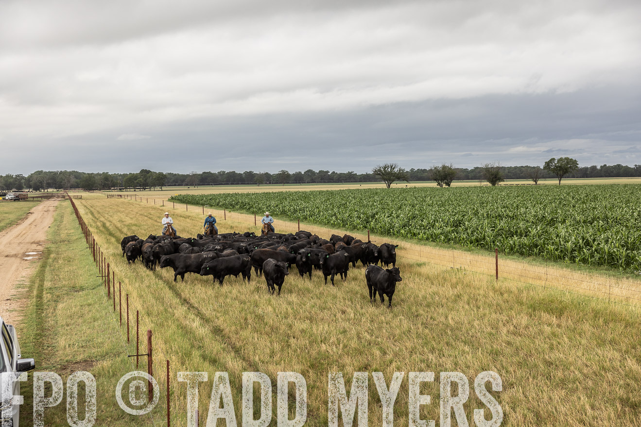 TMyers_Cameron_June2022-526343