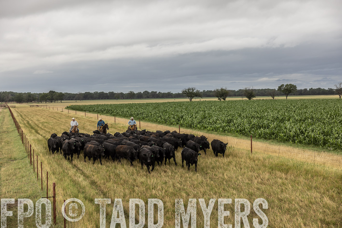 TMyers_Cameron_June2022-526346