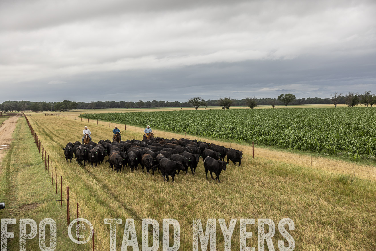 TMyers_Cameron_June2022-526349