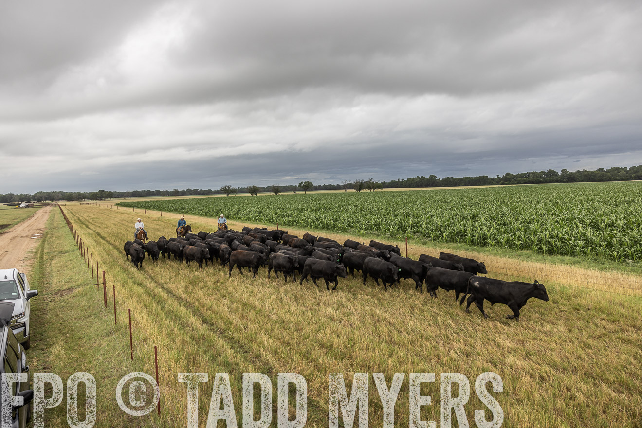 TMyers_Cameron_June2022-526366